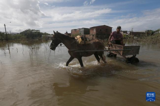 巴西东北部洪灾死亡人数继续上升