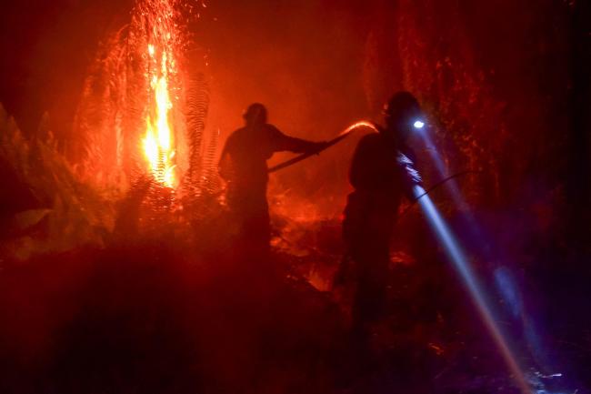 印尼发生泥炭地火灾 灭火工作已展开