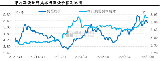 易涨难跌？蛋价强势运行“高价蛋”或成今年常态